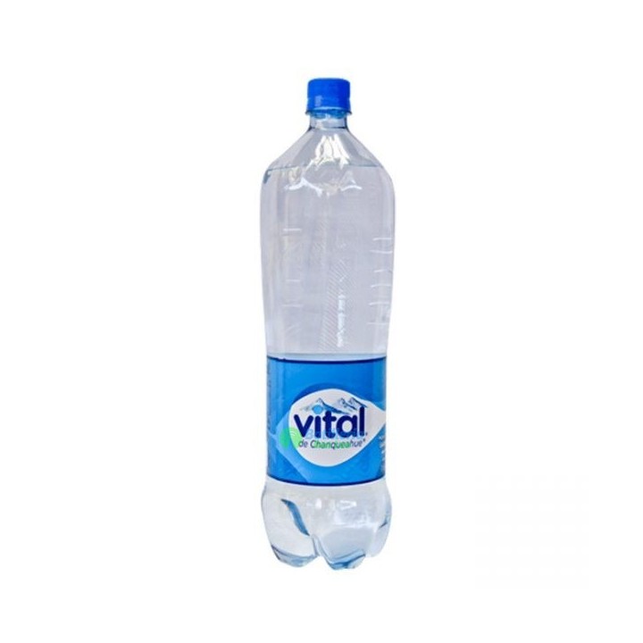 Vital Agua Gasificada 1.6 Lts - Bebidas, Energéticas y Jugos